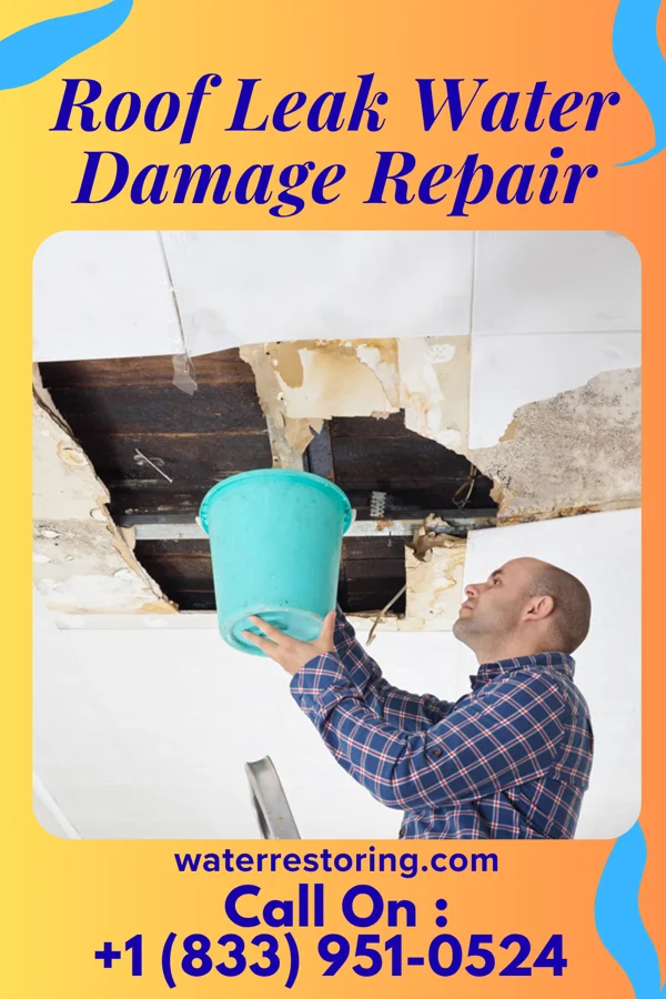 Roof Leak Water Damage Repair in Grandview, IA